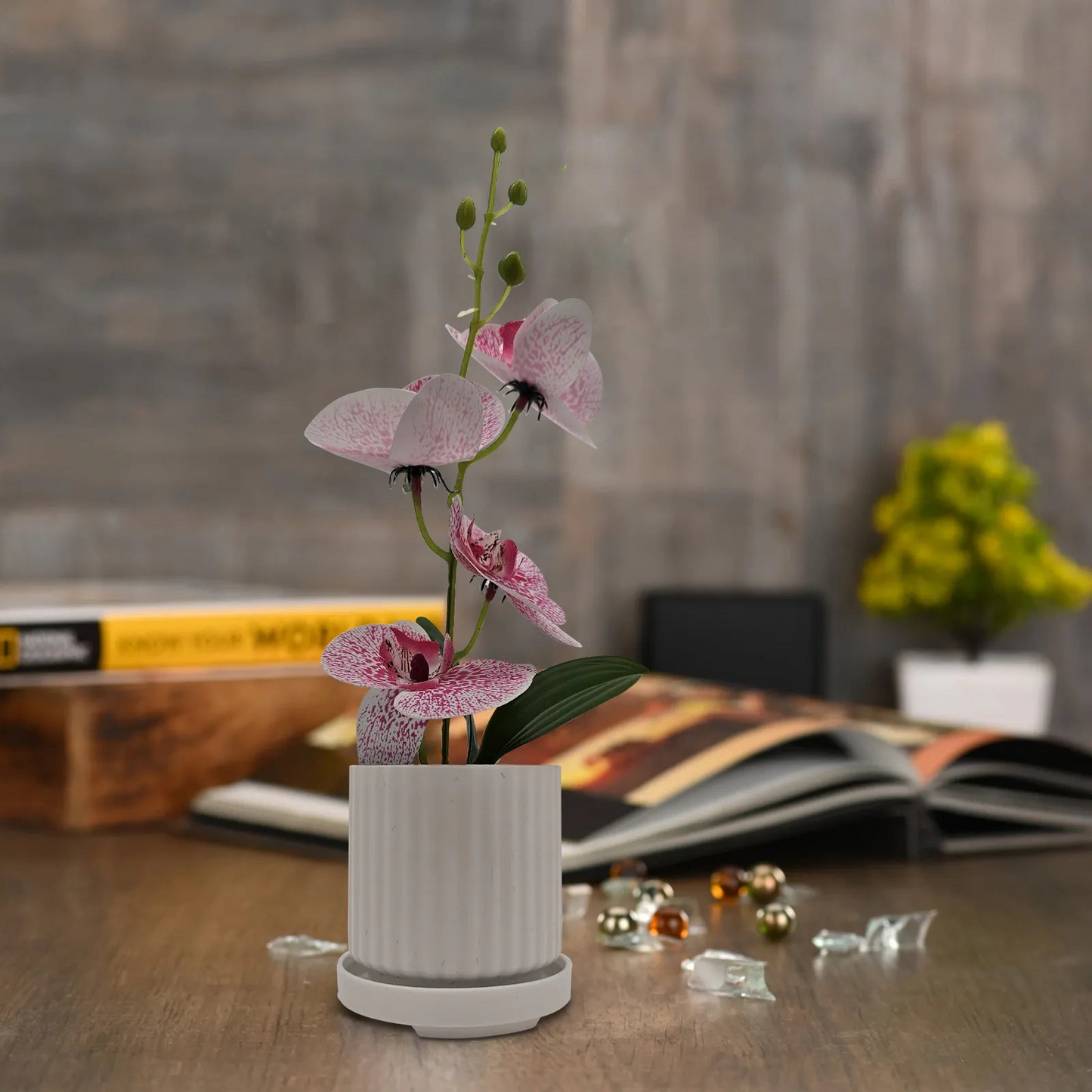 Artificial Orchid with Leaf Potted Plant for Interior Table Decoration~5657