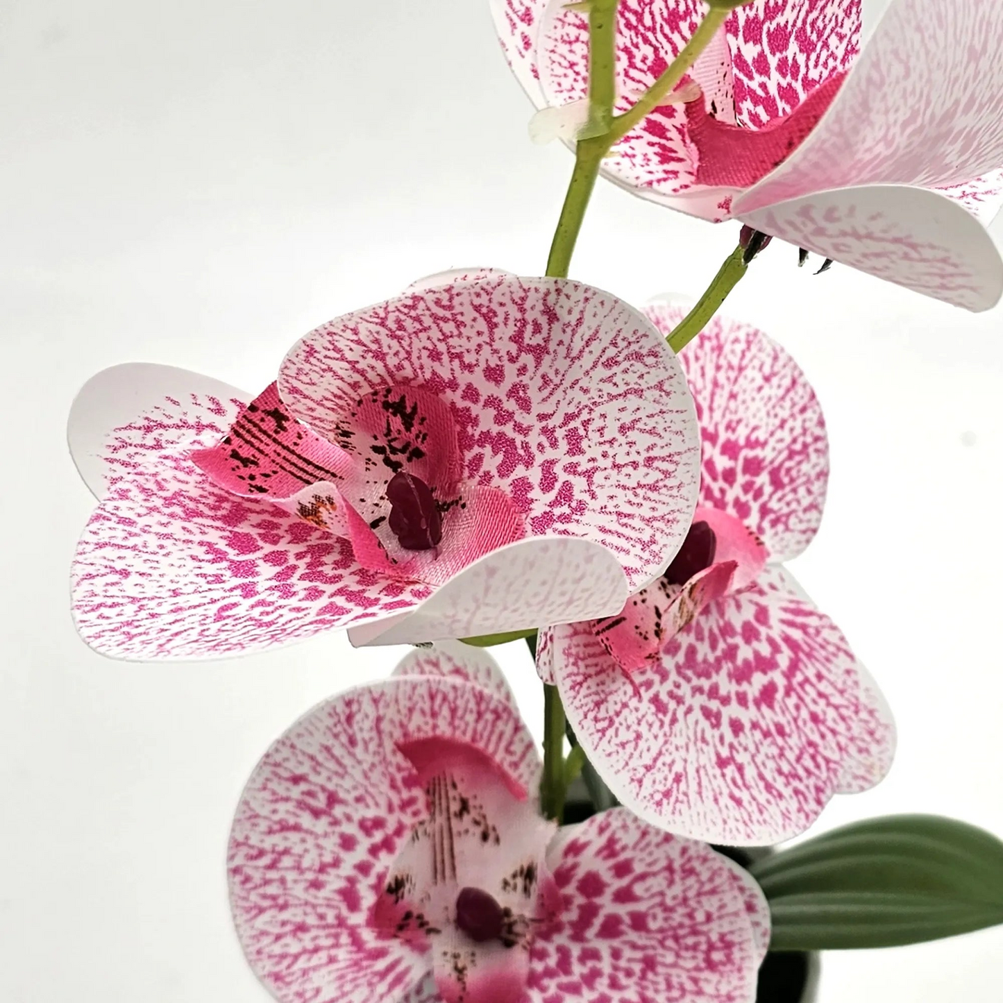 Artificial Orchid with Leaf Potted Plant for Interior Table Decoration~5657