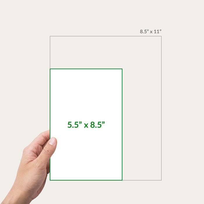 Newsletters